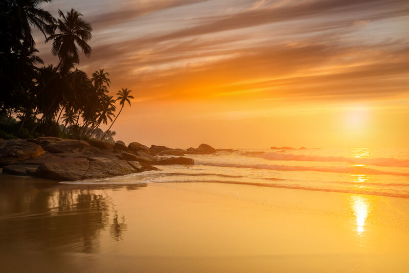 Sunset with coconut palms on the beach