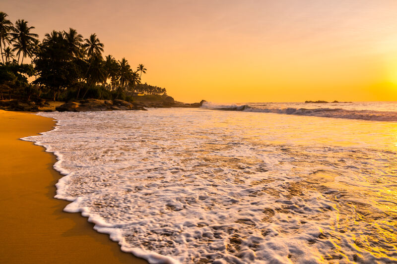 Romantic sunset at a tropical beach with palms