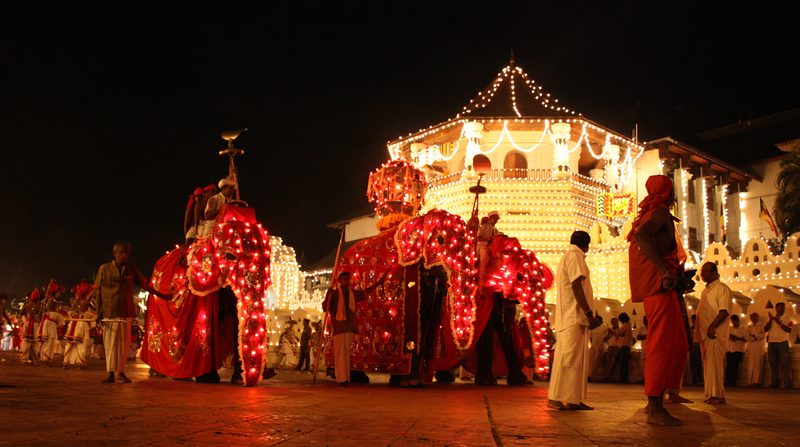 Ceremonially adorned elephants at the Esala Perahera in Kandy