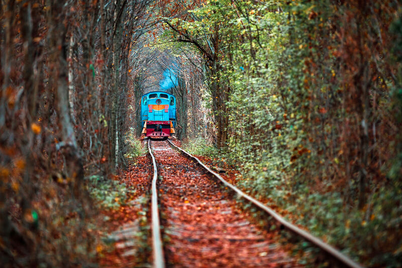 Railway tunnel surrounded by tropical greenery