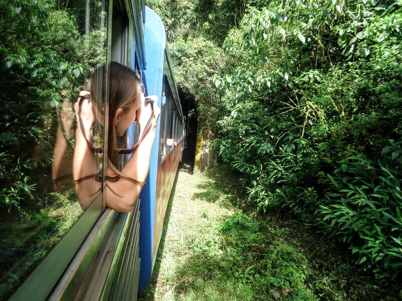 Woman on a train looking out over a green mountain landscape
